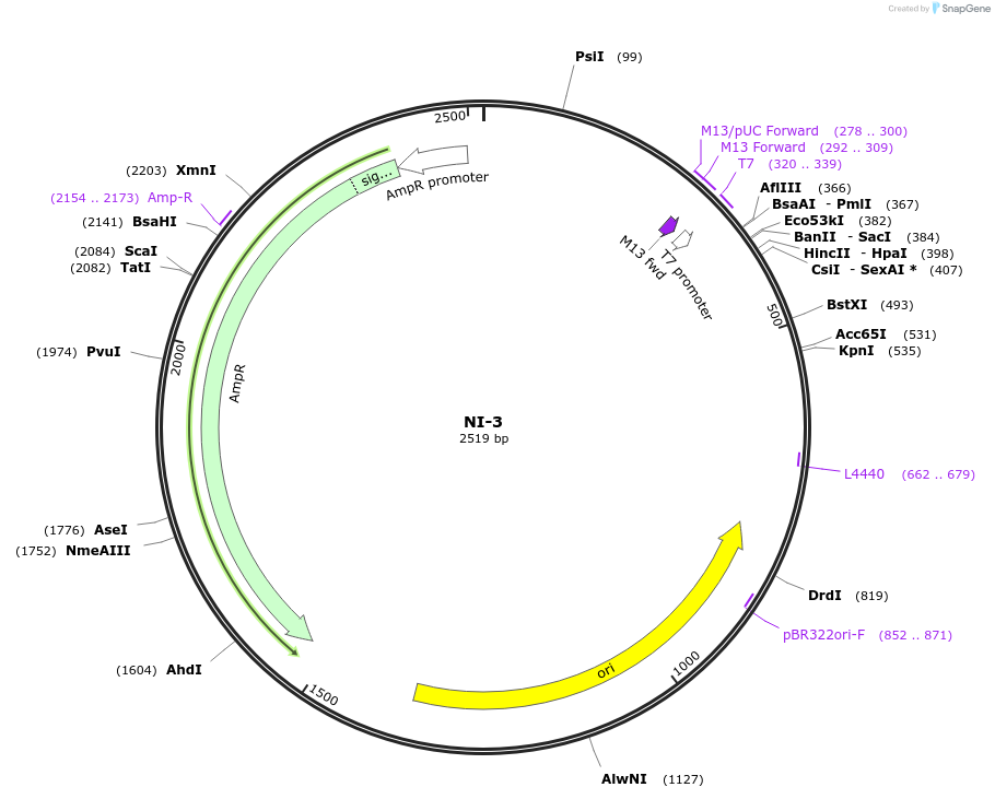 87476-plasmid-map-sequence-id-174659