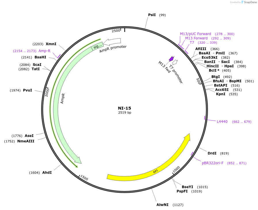 87488-plasmid-map-sequence-id-174664