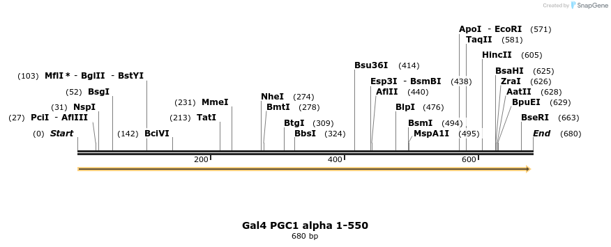 17468_map