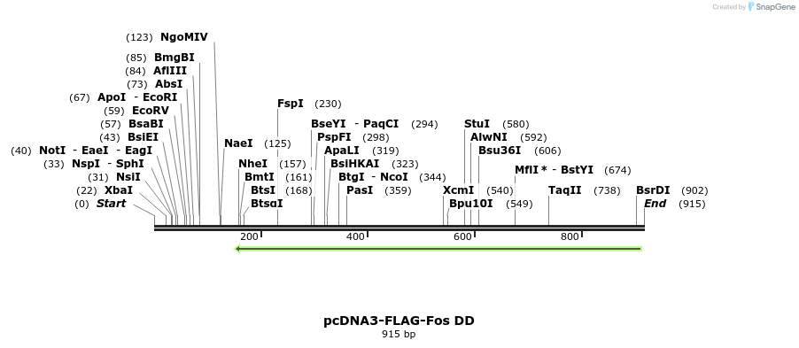 17475_map