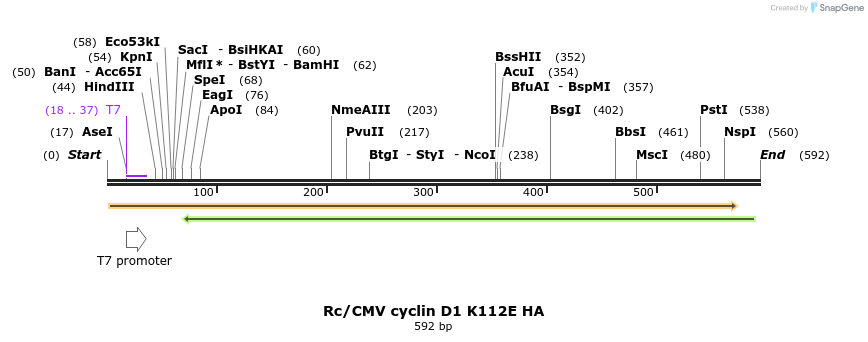 17479_map