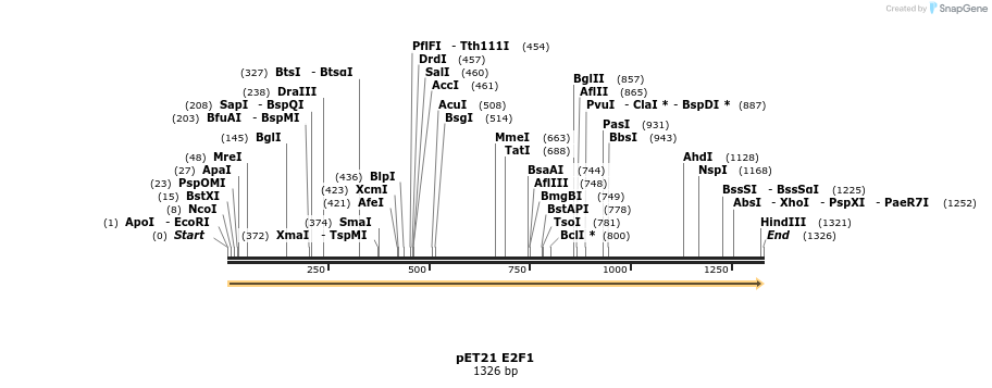 174910_map