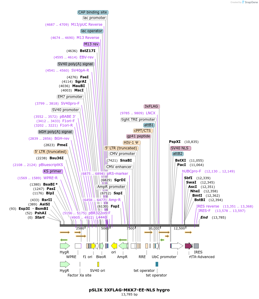 174948_map