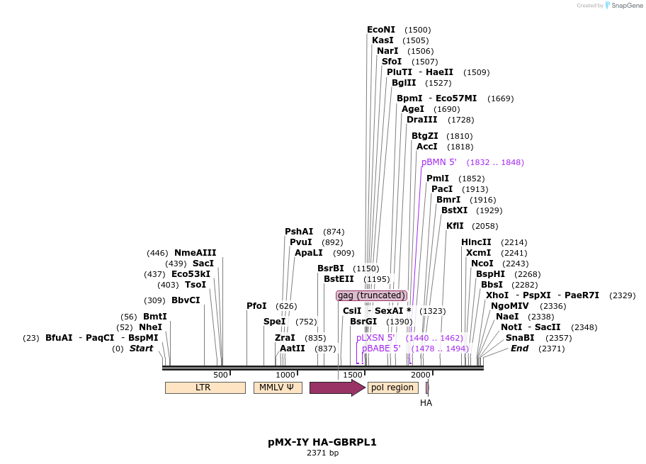 175002_map