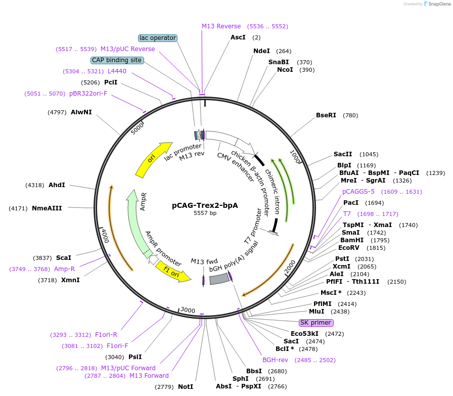 175032_map