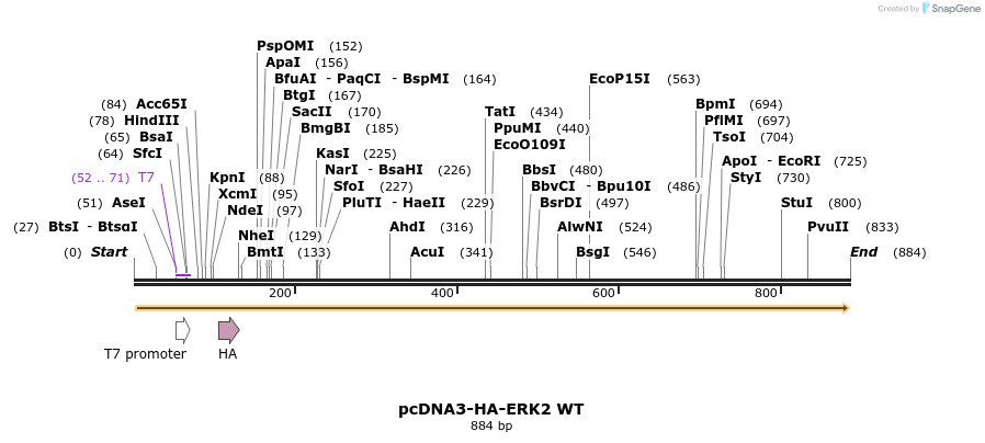 17504_map