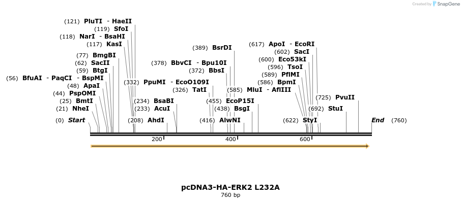 17508_map