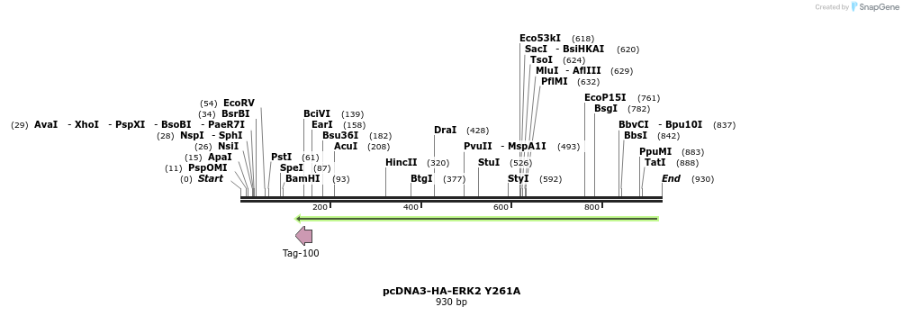 17509_map