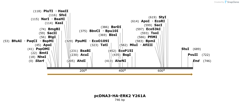 17511_map