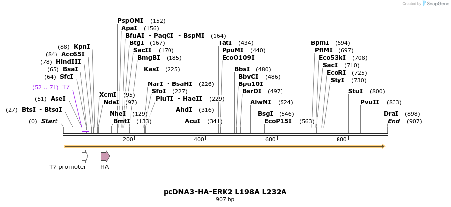 17512_map