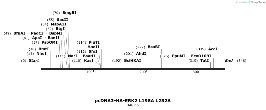 17513_map