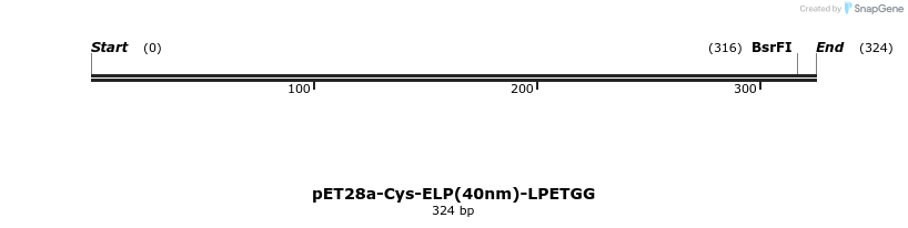 175176_map