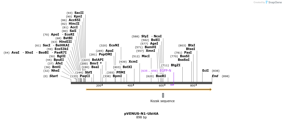 175215_map