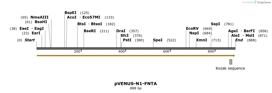 175225_map