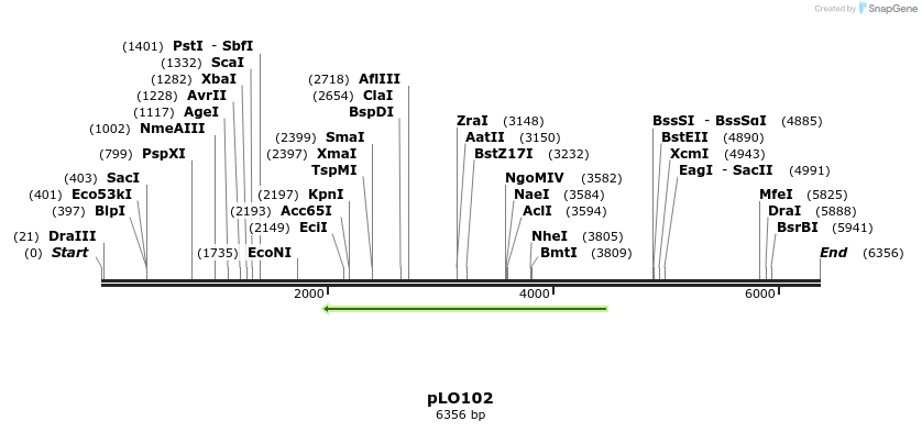 175246_map