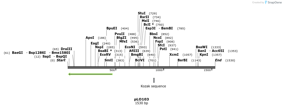 175247_map