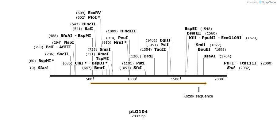 175248_map