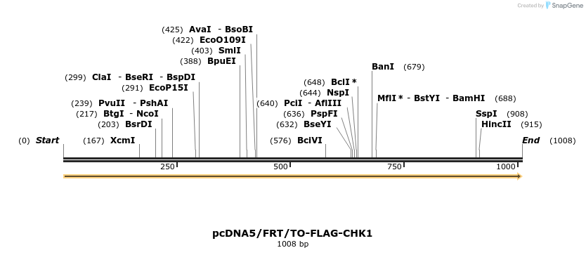 175301_map