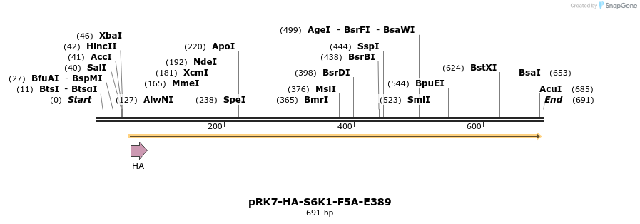 17531_map