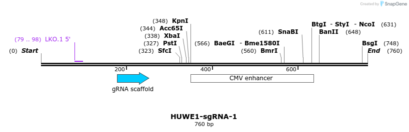 175370_map