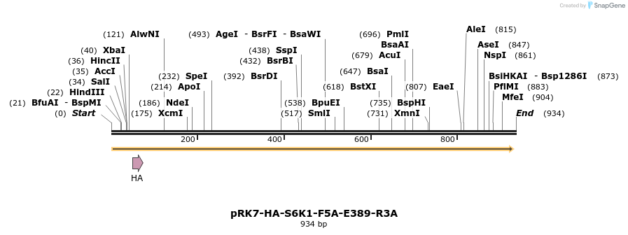 17538_map