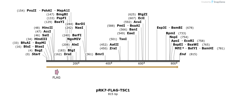17544_map