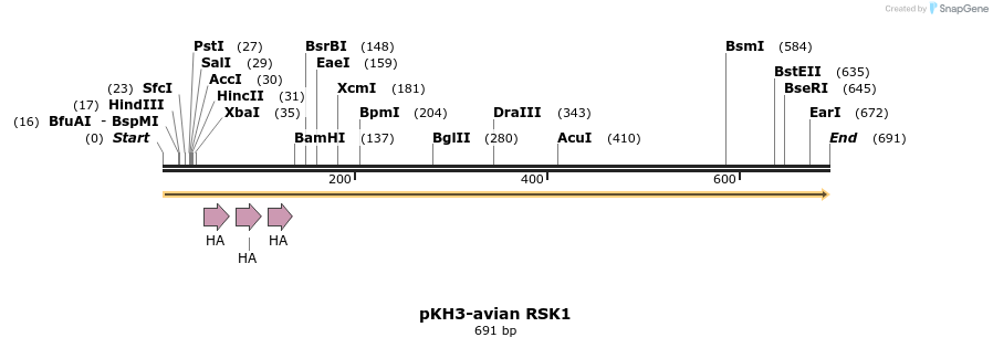 17547_map