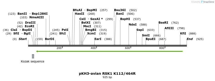 17549_map