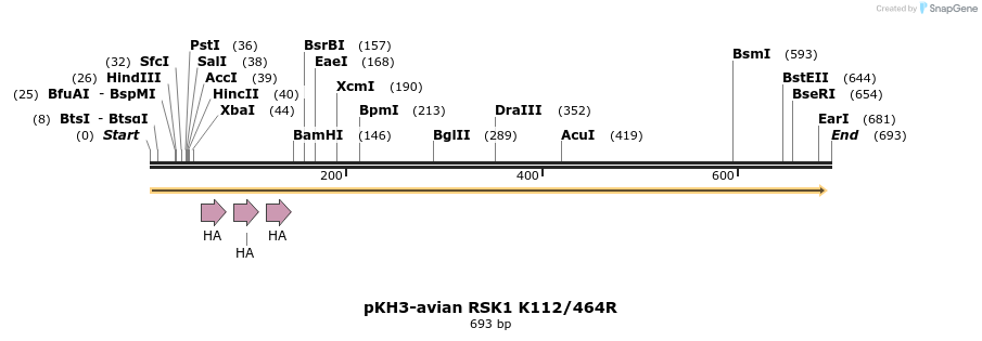 17550_map
