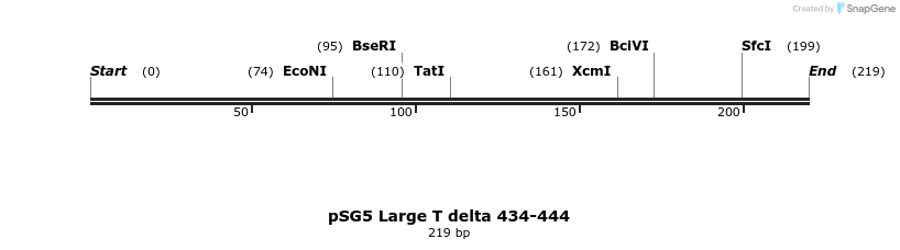 17560_map