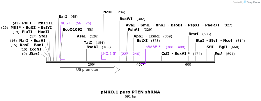 17562_map