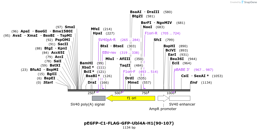 175667_map