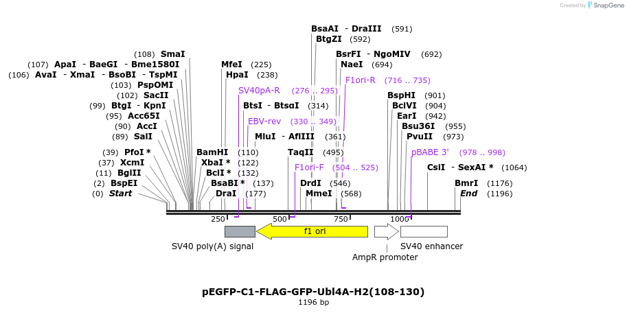 175669_map