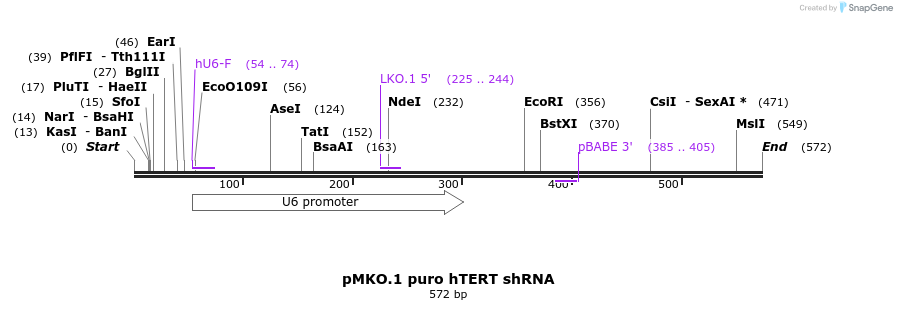 17573_map