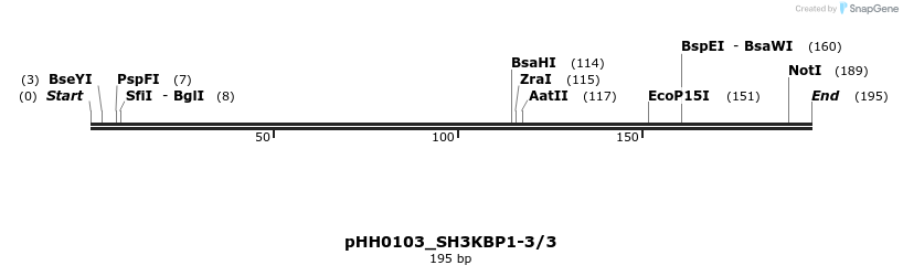175738_map