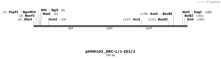 175739_map
