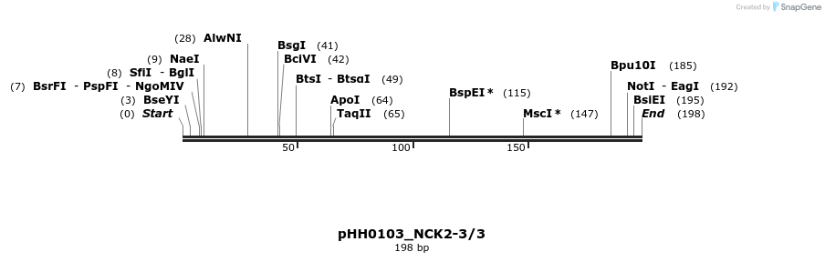 175744_map