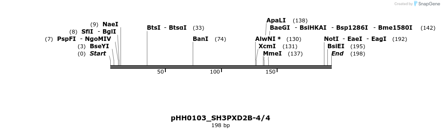 175745_map