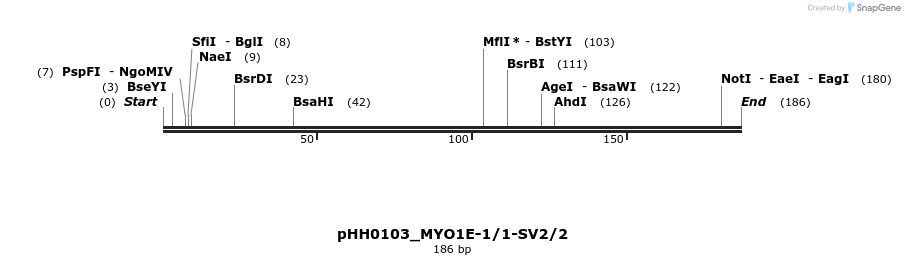 175747_map