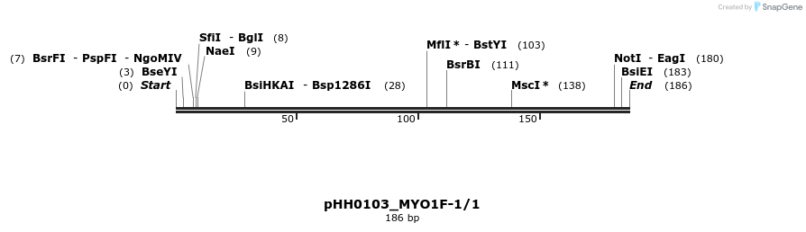 175748_map