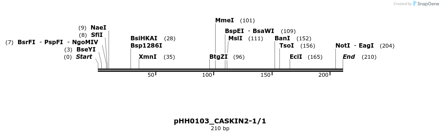 175749_map