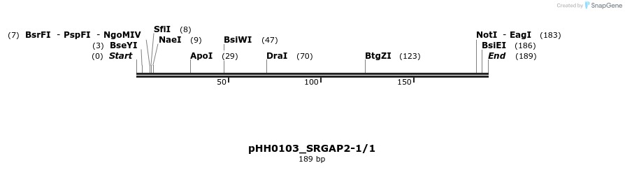 175751_map