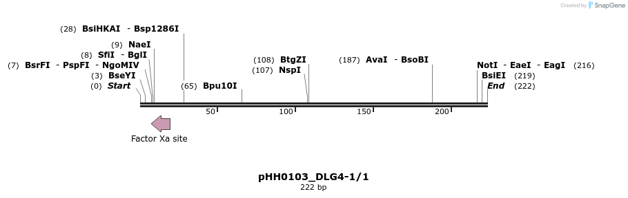 175754_map