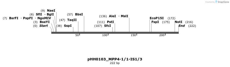 175755_map