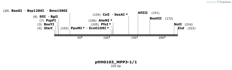 175756_map
