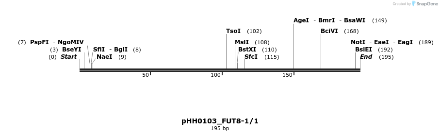 175758_map
