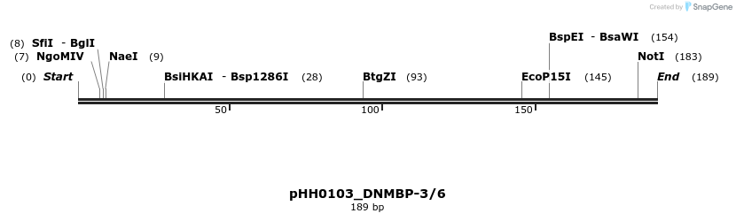 175765_map
