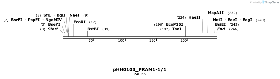 175767_map
