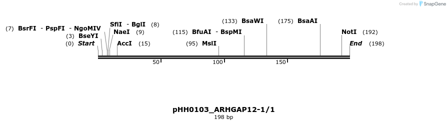 175770_map