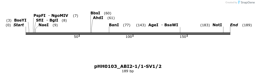 175773_map